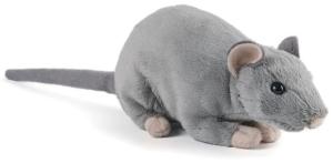 Keycraft Living Nature Rotta &ndash; Keycraft Living Nature