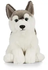 Keycraft Living Nature Bashful Koala, 30cm - Jellycat