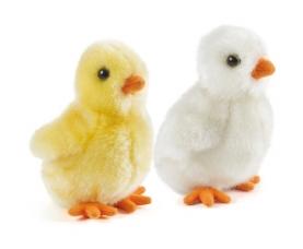 Keycraft Living Nature Tipu &ndash; Keycraft Living Nature