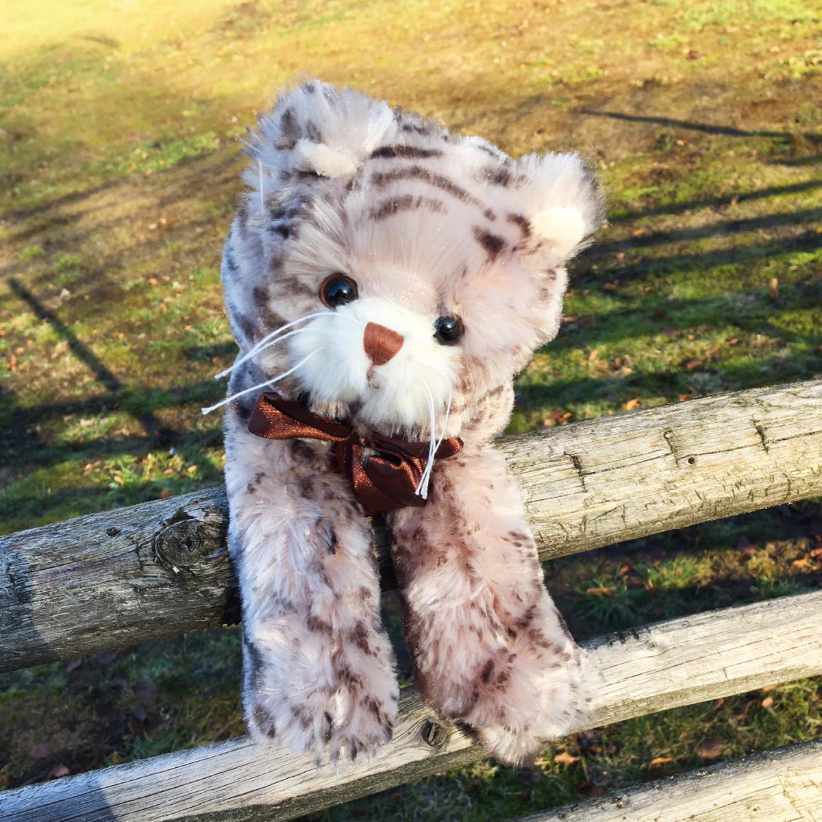 Bukowski Design Maciek kissa, 25cm - Bukowski design