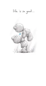 Me to you (Miranda nallar) Kortti, Life is so good &ndash; Me To You