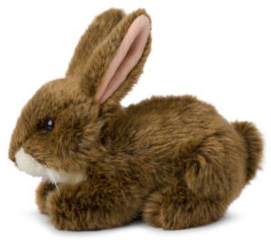 WWF (V&auml;rldsnaturfonden) J&auml;niksenpoikanen &ndash; WWF (Maailman luonnons&auml;&auml;ti&ouml;)