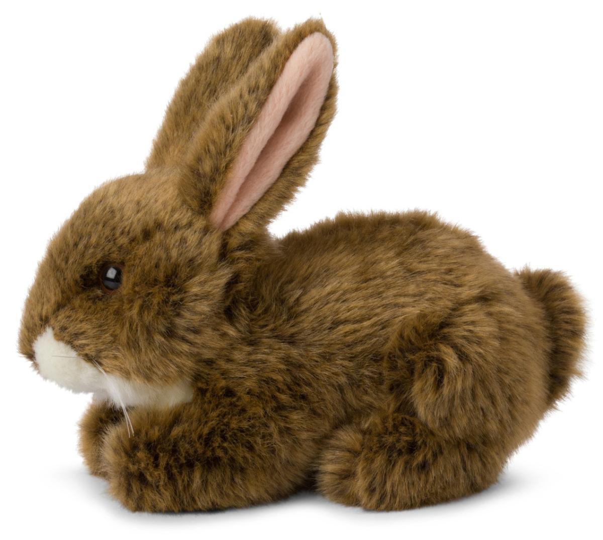 WWF (Världsnaturfonden) Jäniksenpoikanen – WWF (Maailman luonnonsäätiö)