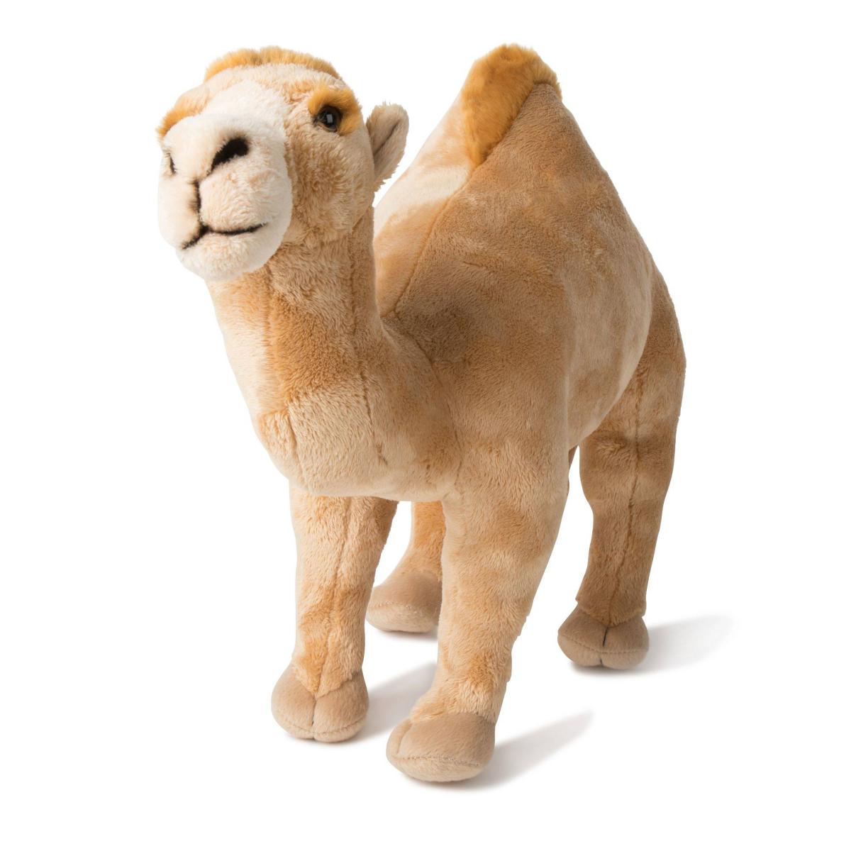 WWF (Världsnaturfonden) Dromedaari – WWF (Maailman luonnonsäätiö)