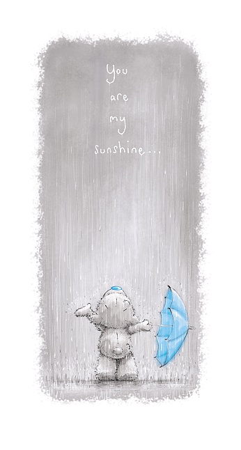 Me to you (Miranda nallar) Kortti, You are my sunshine – Me To You