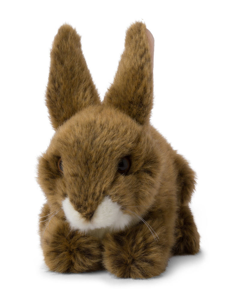 WWF (Världsnaturfonden) Jäniksenpoikanen – WWF (Maailman luonnonsäätiö)