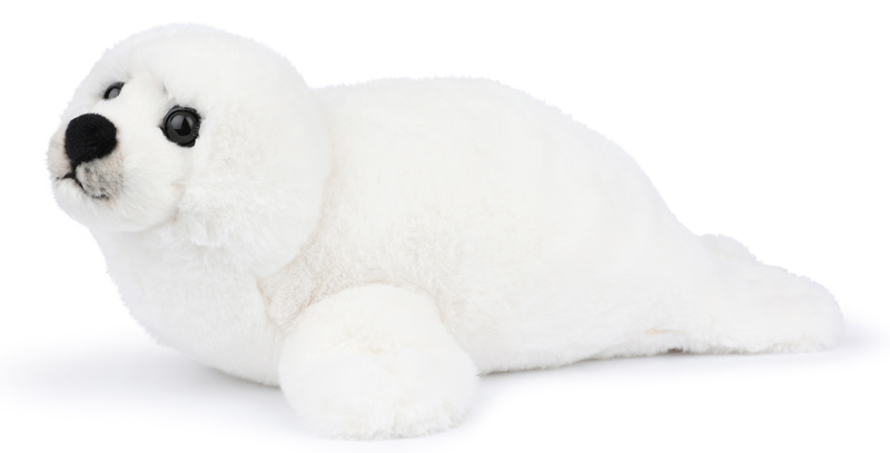 Kalikå Hylje – WWF (Maailman luonnonsäätiö)