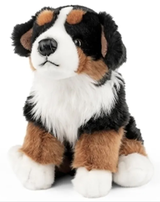 Keycraft Living Nature Bashful Koala, 30cm - Jellycat