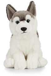 Keycraft Living Nature Bashful Koala, 30cm - Jellycat