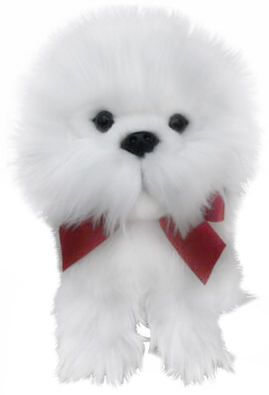 Faithful Friends Maltankoira – Faithful Friends