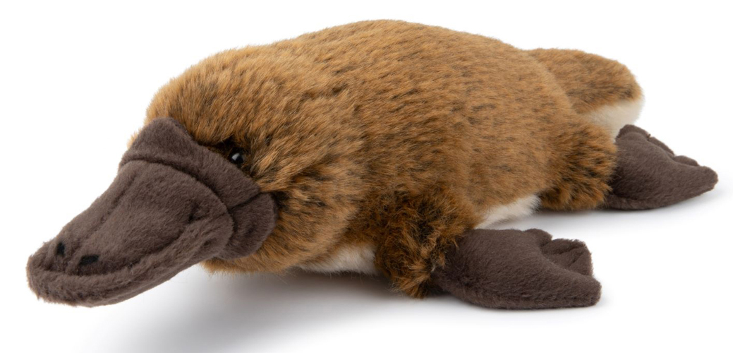 WWF (Världsnaturfonden) Vesinokkaeläin – WWF (Maailman luonnonsäätiö)