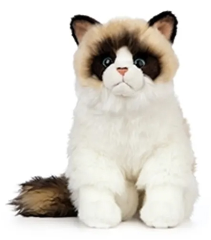 Keycraft Living Nature Bashful Koala, 30cm - Jellycat