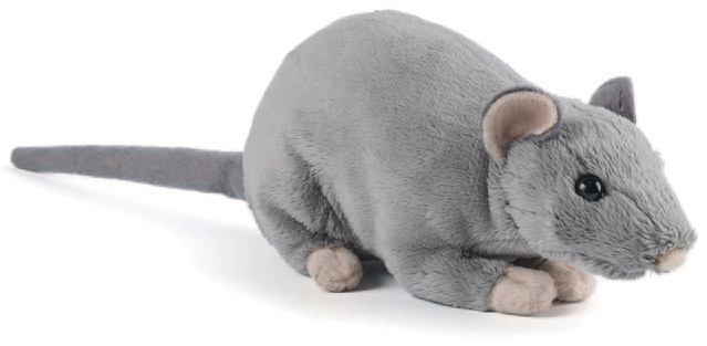 Keycraft Living Nature Rotta – Keycraft Living Nature