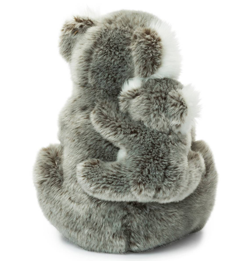 WWF (Världsnaturfonden) Koala poikasen kanssa – WWF (Maailman luonnonsäätiö)